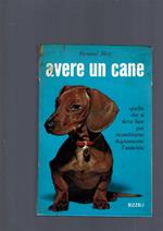 Avere Un Cane