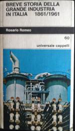 Breve storia della grande industria in Italia. 1861/1961