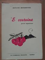 'E ccurvine