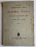 Scienza nuova