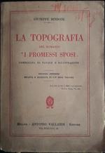 La topografia del romanzo 