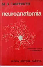 Neuroanatomia