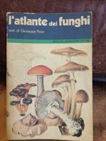 L' atlante dei funghi