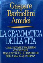 La grammatica della vita. Come trovare l'equilibrio con se stessi tra le piccole e grandi cose