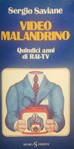 Video malandrino. Quindici anni di Rai-tv