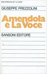 Amendola e la voce