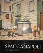 Spaccanapoli e i decumani