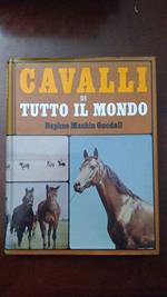 Cavalli di tutto il mondo