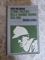 Storia politica della grande guerra 1915/1918