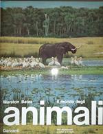 Il mondo degli animali