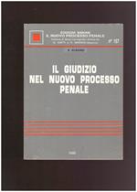 Il giudizio nel nuovo processo penale