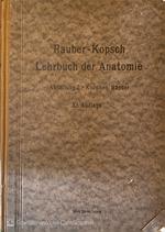 Rauber's Lehrbuch der Anatomie des Menschen. Vol 2