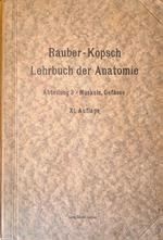 Rauber's Lehrbuch der Anatomie des Menschen. Vol. 3