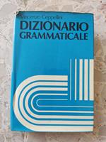 Dizionario grammaticale