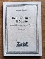 Dalle Colmate di monte