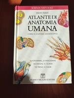 Atlante di anatomia umana