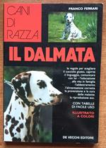 Il dalmata