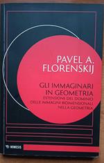 Gli immaginari in geometria Estensione del dominio delle immagini bidimensionali nella geometria