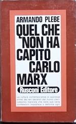 Quel che non ha capito Carlo Marx