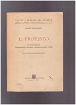 Il protesto