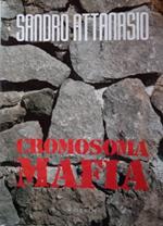 Cromosoma mafia