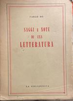 Saggi e note di una letteratura