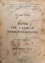 Guida per l'analisi semmicroqualitativa