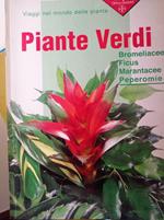 Piante verdi