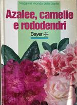 Azalee, camelie e rododendri