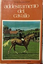 Addestramento del cavallo