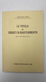 La tutela dei crediti di mantenimento