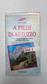 A piedi in Abruzzo. 2 volumi