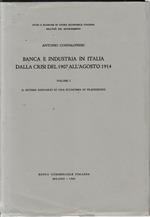 Banca e industria in Italia dalla crisi del 1907 all'agosto 1914. Vol. 1°