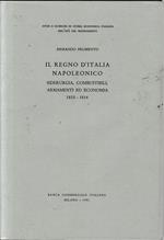 Il Regno d'Italia Napoleonico. Siderurgia, combustibili, armamenti ed economia 1805-1814