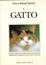 Il gatto