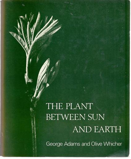 Plant Between Sun and Earth and the Science Physical and Ethereal Spaces: And the Science of Physical and Ethereal Spaces - copertina