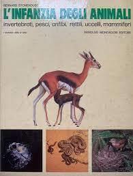 L' infanzia degli animali invertebrati, pesci, anfibi, rettili, uccelli, mammiferi - Bernard Stonehouse - copertina