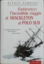 Endurance : l'incredibile viaggio di Shackleton al Polo Sud