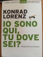 Io sono qui, tu dove sei?