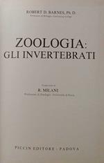 Zoologia: gli invertebrati