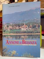 Annone di Brianza. Ambiente Storia Arte