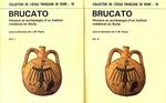 Brucato. Histoire et Archéologie d'un habitat médiéval en Sicilie: Histoire et archéologie d'un habitat médiéval en Sicile, 2 volumes