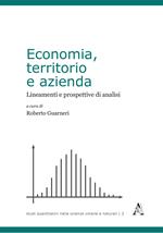 Economia, territorio e azienda. Lineamenti e prospettive di analisi