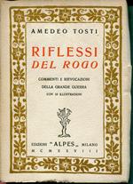 Riflessi del rogo. Rievocazioni e commenti della grande Guerra