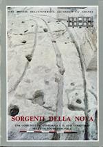 Sorgenti della Nova : una comunità protostorica e il suo territorio nell'Etruria meridionale : Università degli studi, Braccio est della Crociera, Cortile d'onore, Milano 1981