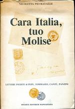 Cara Italia, tuo Molise. Lettere inedite di Pepe, Tommaseo, Cantù, Panzini