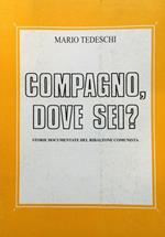 Compagno, dove sei?. Storie documentate del ribaltone comunista