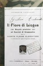 Il fiore di lingua. Regole pratiche ed esercizi di grammatica per la quarta classe elementare