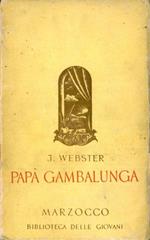 Papà Gambalunga. Storia di una ragazza americana