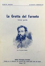 La Grotta del Farneto. Breve guida